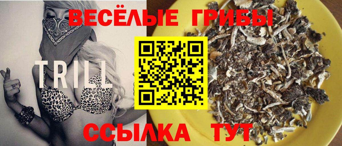 Псилоцибиновые грибы Psilocybine cubensis Шарыпово