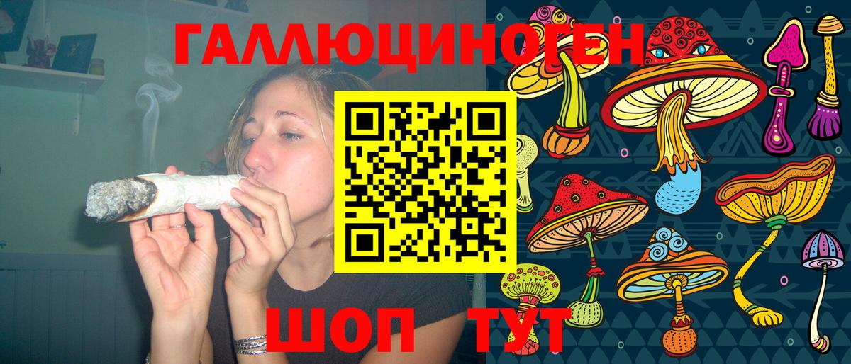 Шарыпово  закладка  Вход с VPN  Псилоцибиновые грибы Psilocybe 